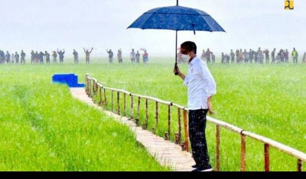 proyek-food-estate-digaungkan-jokowi-di-sidang-mpr-2020-kini-disebut-kejahatan-lingkungan-oleh-pdip