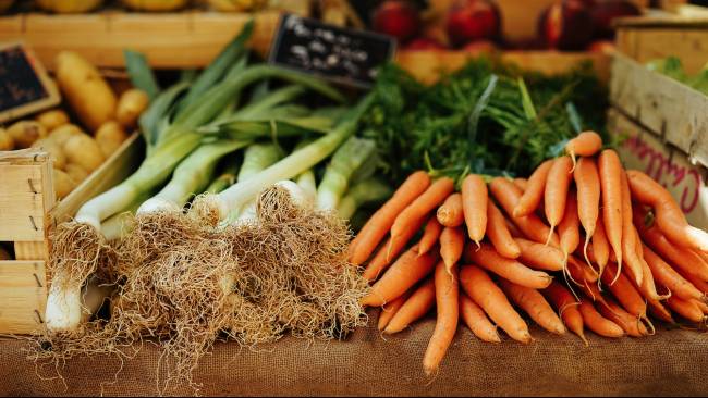 10-rekomendasi-sayur-yang-cocok-untuk-buka-puasa-bergizi-dan-mudah-dicari
