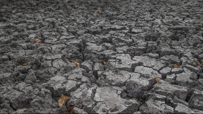 Mitigasi El Nino di Sektor Energi, Bukti Negara Hadir Antisipasi Krisis