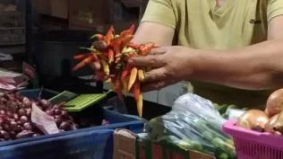 Jelang Ramadan Harga Kebutuhan Pokok di Jakarta Naik Cabai Rawit Sentuh Rp120000Kg