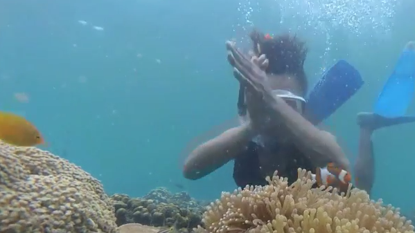 Menikmati Keindahan Terumbu Karang Gili Ketapang - Kompas TV