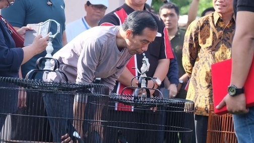 Jokowi